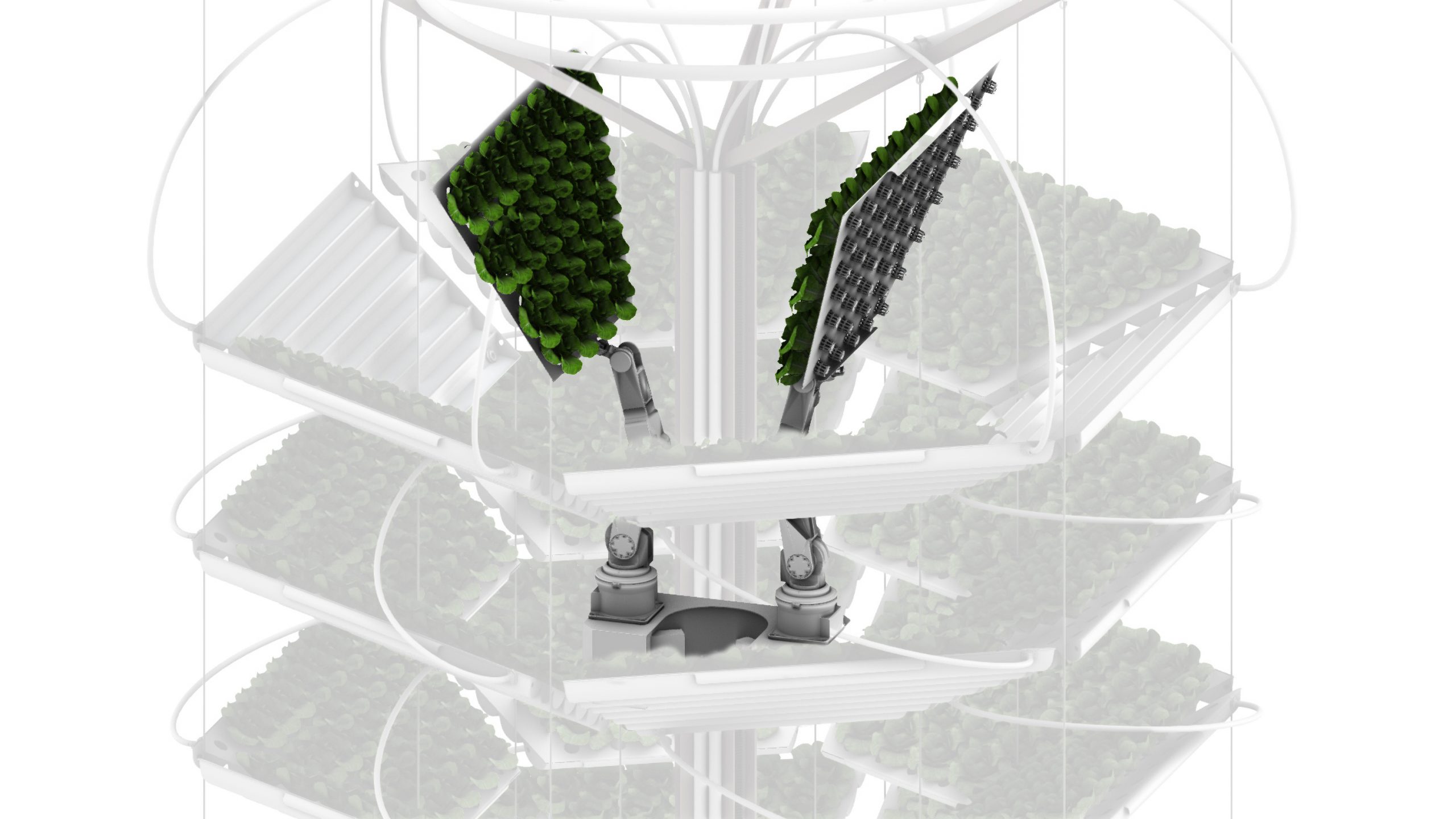 Mangrovia, rendering movimentazione della vasca