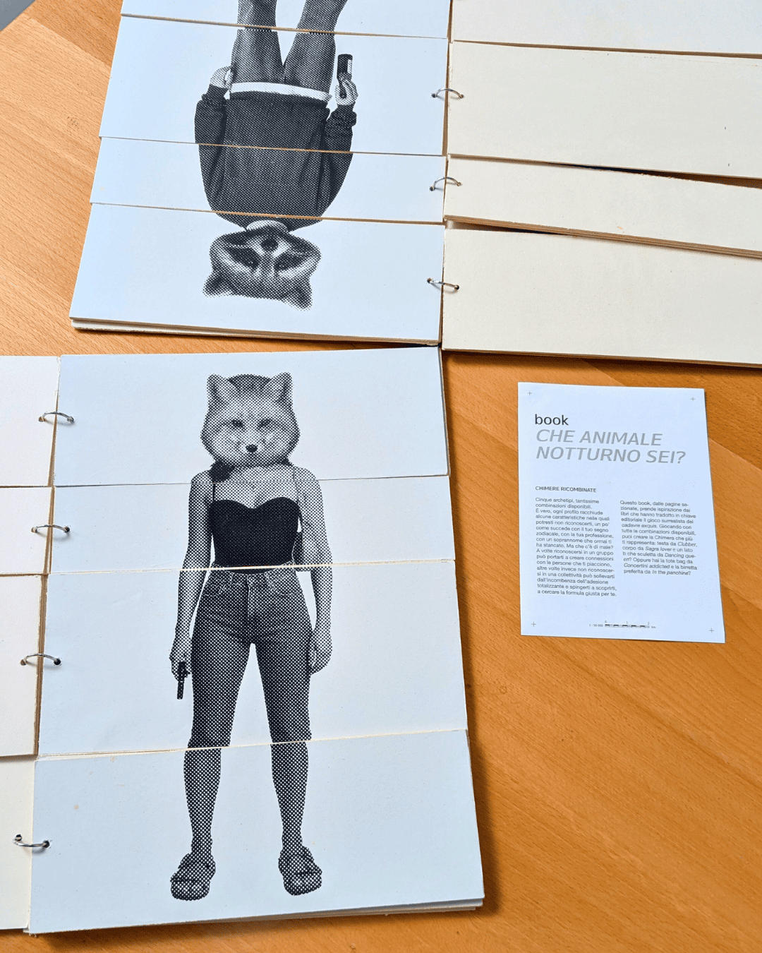 Un dettaglio della Mostra “CREPE. Ricerca tra urbano e collettivo” a cura del collettivo INNESCO