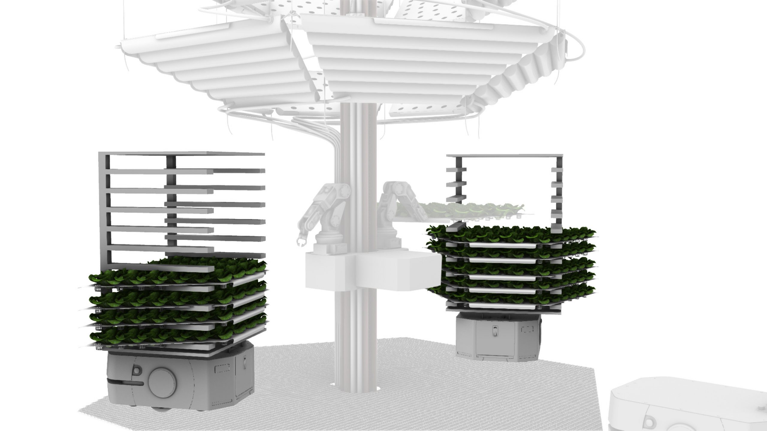 Mangrovia, rendering movimentazione piante