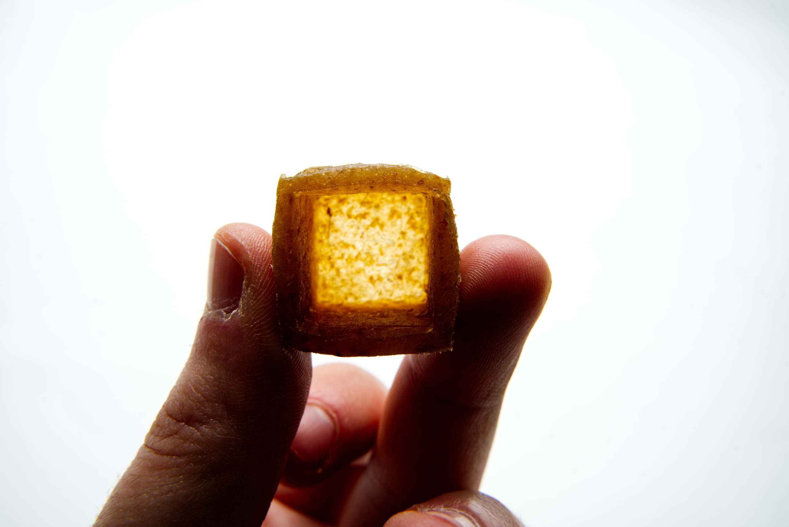 FERMENTO, bio-fabbricazione domestica &ndash; ISIA Roma