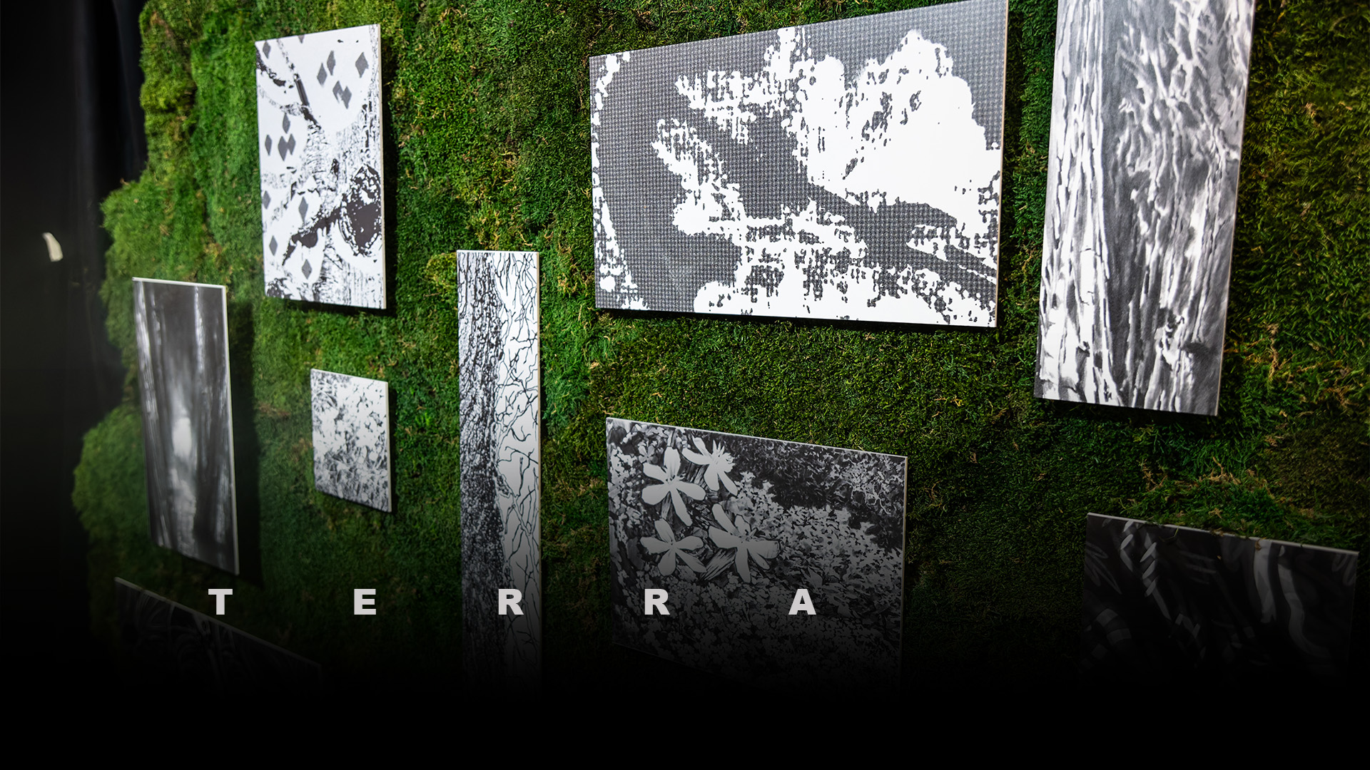 Mostra fotografica in bianco e nero su parete di muschio con scritta TERRA in sovrimpressione.
