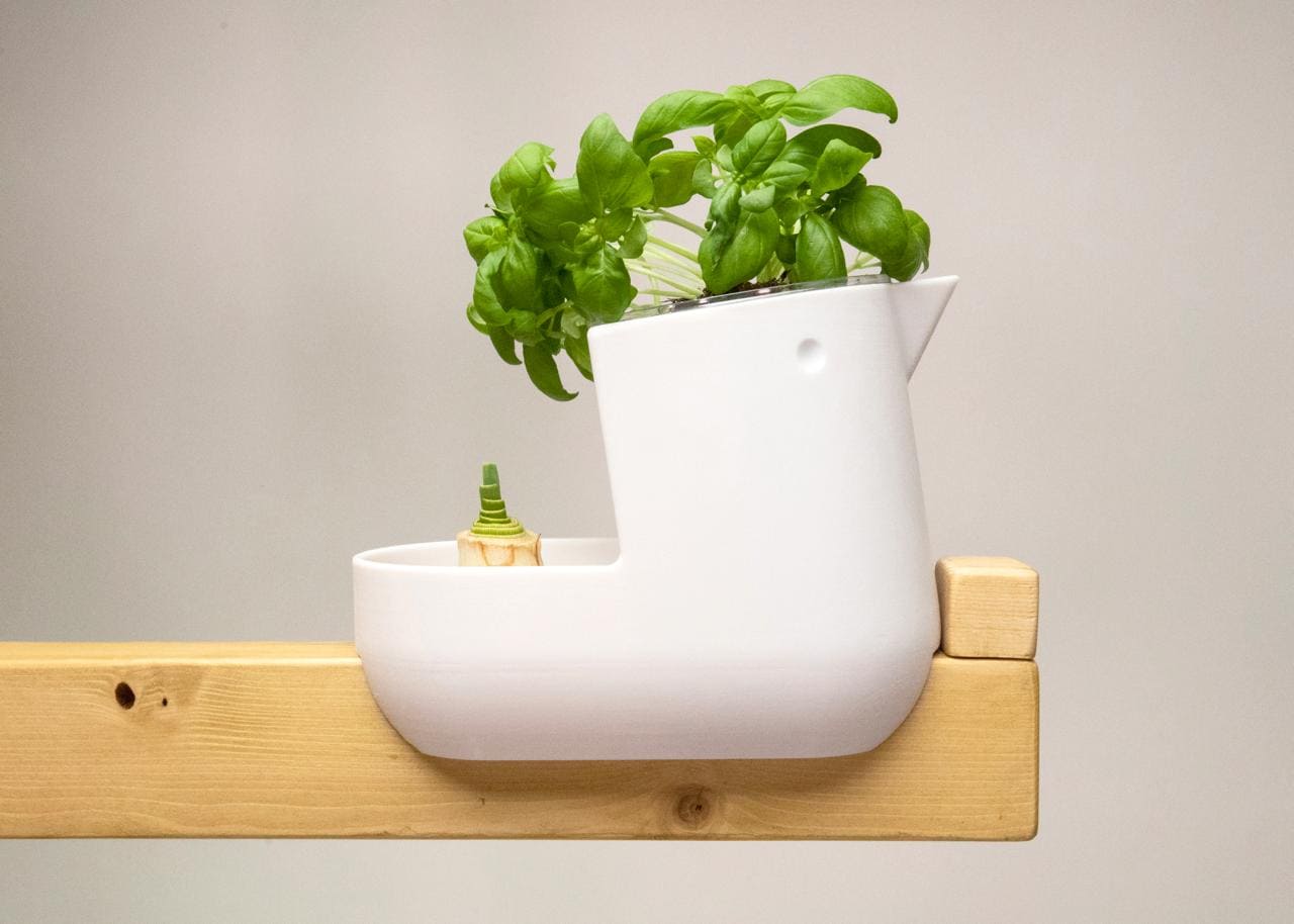 Vaso di design bianco con pianta di basilico verde su mensola di legno naturale.